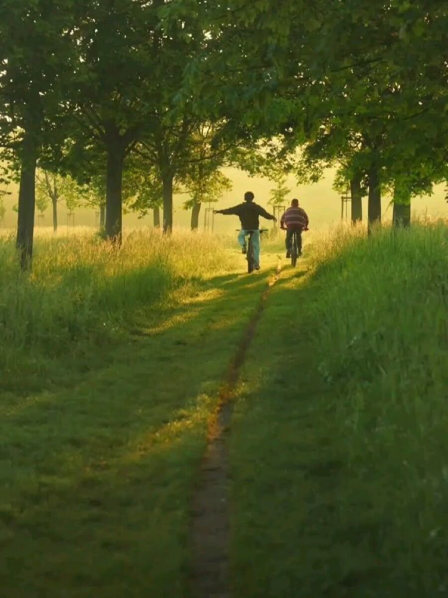 A path through a green field